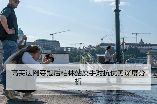gao-fu-fa-wang-duo-guan-hou-bo-lin-zhan-fan-shou-dui-kang-you-shi-shen-du-fen-xi-2-507.jpg